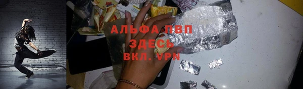 сатива Аркадак