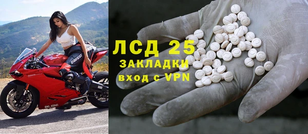 сатива Аркадак