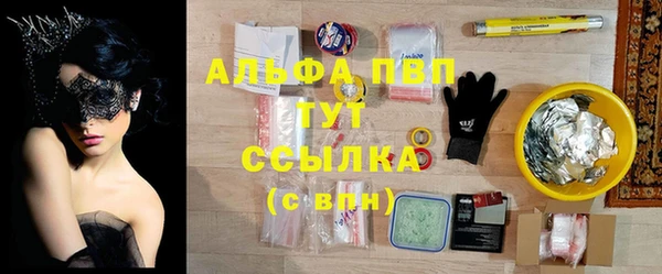 сатива Аркадак