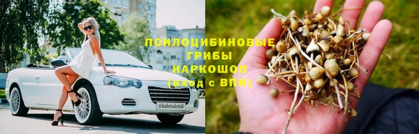 сатива Аркадак